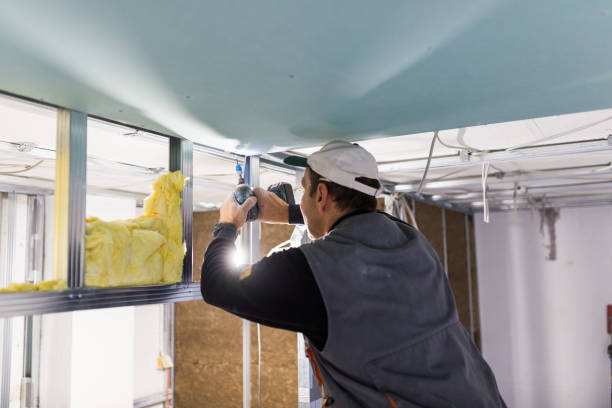 Best Eco-Friendly Insulation in Eureka Springs, AR