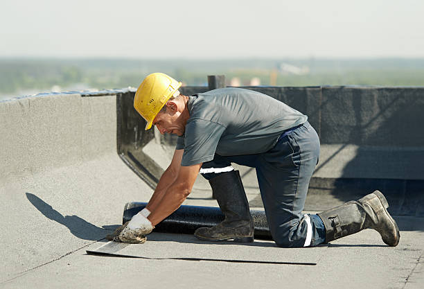 Best Specialized Insulation Services in Eureka Springs, AR