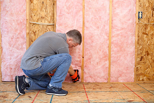 Best Commercial Insulation in Eureka Springs, AR