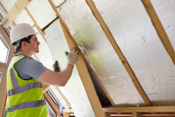 Best Insulation Maintenance and Repair in Eureka Springs, AR