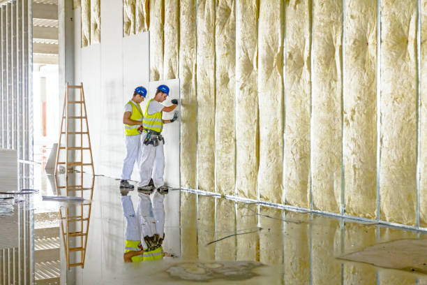 Best Commercial Insulation in Eureka Springs, AR
